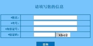 高考信息查询：获取考试成绩和录取信息的途径